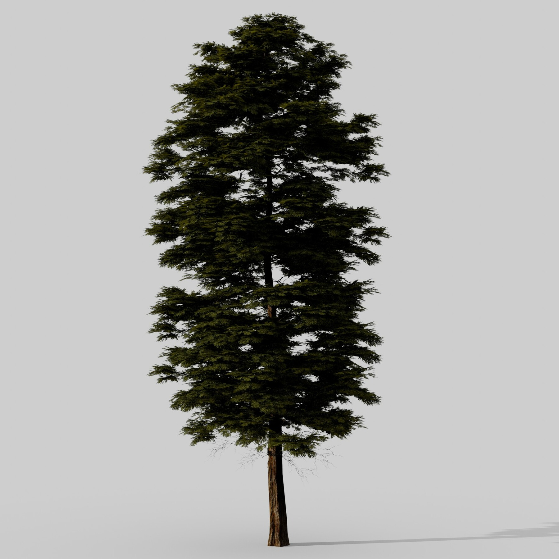 ArtStation - Large Trees Lowpoly Collection | Resources