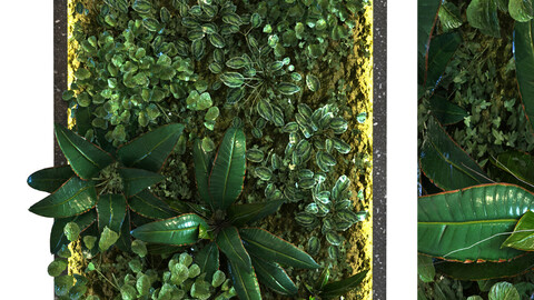 vertical plant set 087