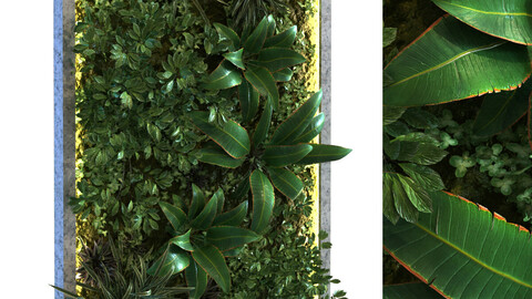 vertical plant set 088