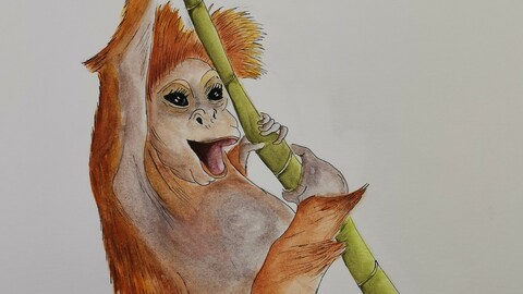 Baby aapje watercolor painting digital version