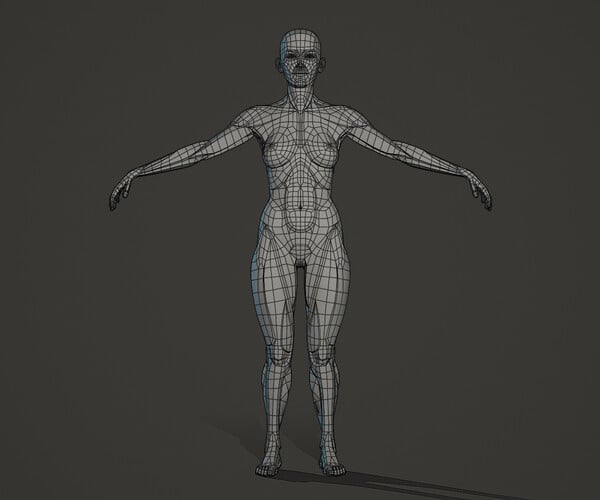 ArtStation - Character - Female Planar Anatomy | Resources