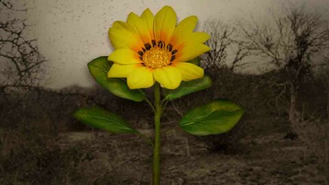 Hope starts from small action  Wallpapers for PC and Phones -High Resolution