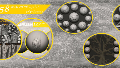 Z brush - Trunk Detail Brushes 12  Volumes