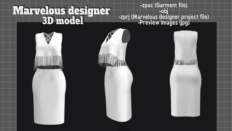 Tassle Top&H-Skirt Set - Marvelous designer 3D model