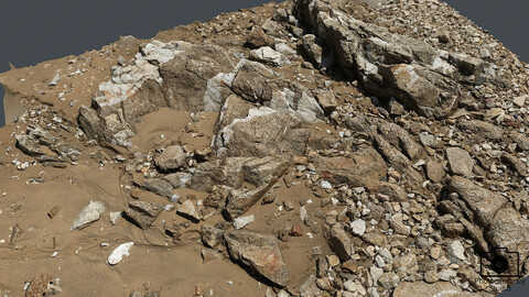 Beach Rock_0014(Photogrametry.Photoscan.obj,Photo)