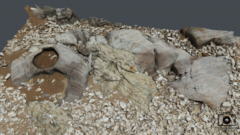 Beach Rock_0015(Photogrametry.Photoscan.obj,Photo)