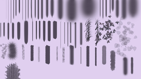 Italian brush set (Standard)