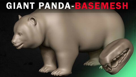 Giant Panda Basemesh 3D model
