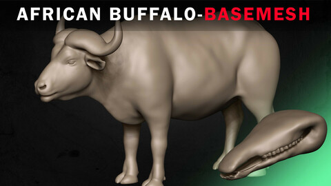 African Buffalo Basemesh 3D model