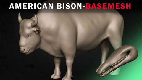 American Bison Basemesh 3D model