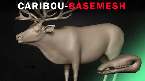 Caribou Basemesh 3D model