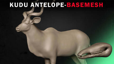 Kudu Antelope Basemesh 3D model