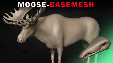 Moose Basemesh 3D model