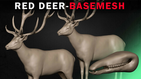 Red Deer Basemesh 3D model