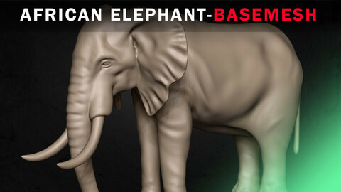 African Elephant Basemesh 3D model