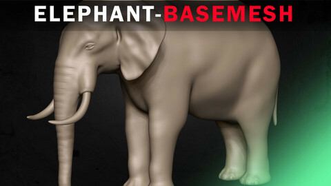 Elephant Basemesh 3D model