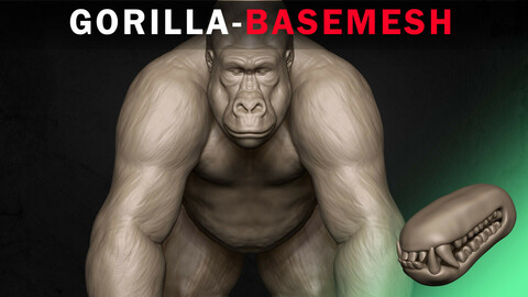 Gorilla Basemesh 3D model