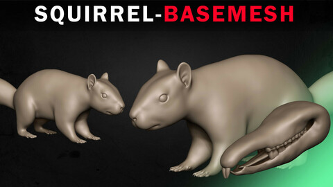 Squirrel Basemesh 3D model