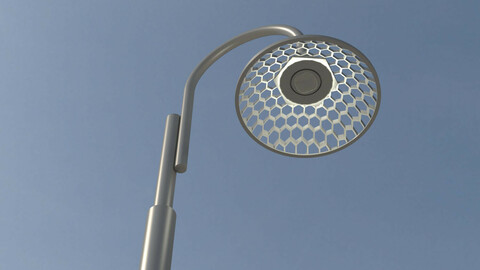 lilium light pole