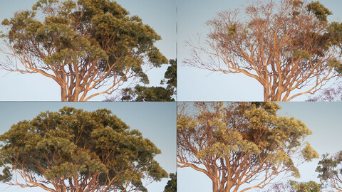 Unreal Engine Foliage (trees, bushes) Master Material