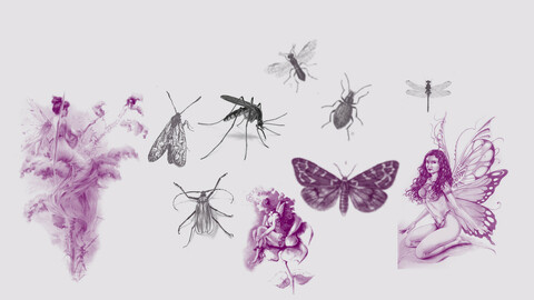 Heavenly brush set (+ set of insects and fairies brushes)