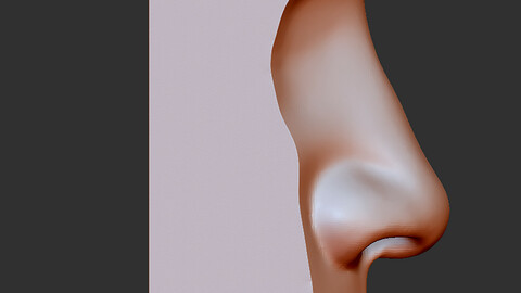 Human nose model,It can be printed in 3D,Organ nose,thank you!