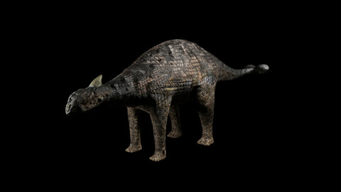 Ankylosaurs VR / AR / low-poly 3d model