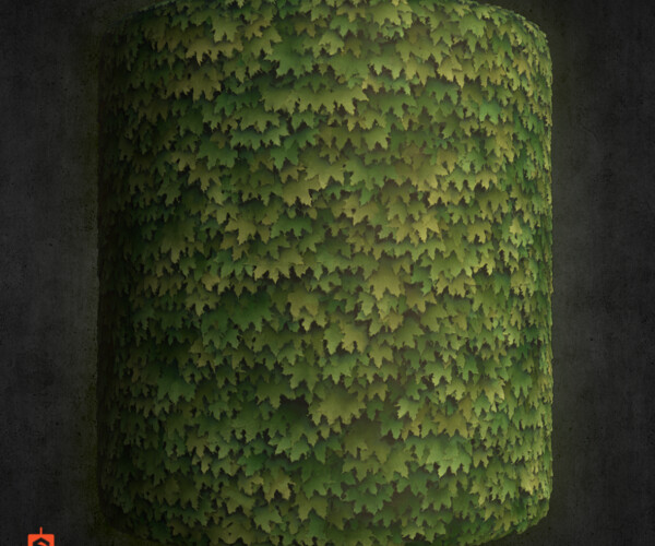 product thumbnail 12