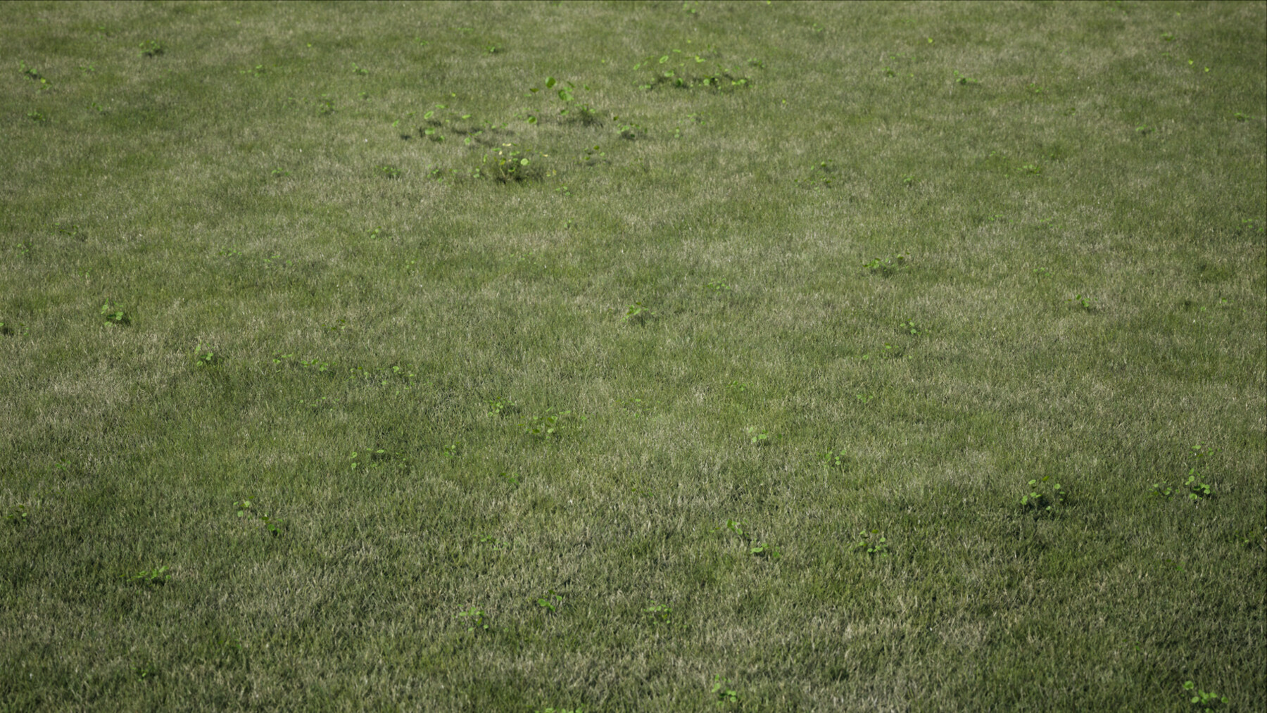 ArtStation Lawn Grass (Unreal Engine 4 / UE4) Game Assets