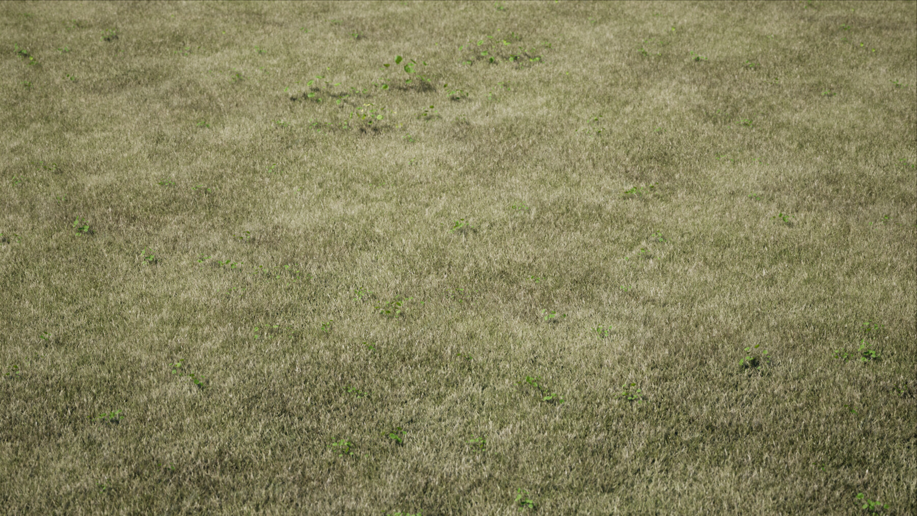ArtStation Lawn Grass (Unreal Engine 4 / UE4) Game Assets