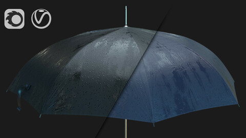 Wet Umbrella 3D model