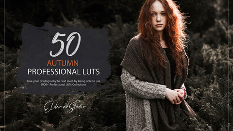 50 Autumn Forest LUTs and Presets Pack