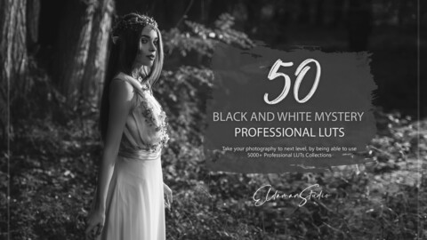 50 Black and White Mystery LUTs and Presets Pack