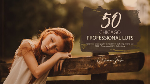 50 Chicago LUTs and Presets Pack