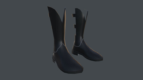 Female Boots