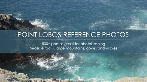 500+ Point Lobos Reference Photos