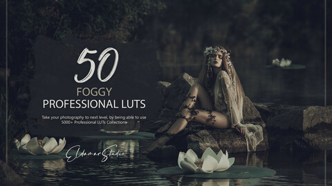 50 Foggy LUTs and Presets Pack