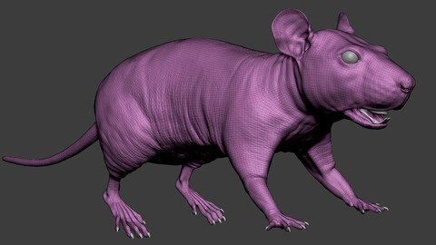 Rat Sculpt