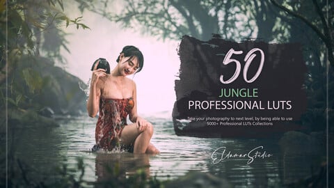 50 Jungle LUTs and Presets Pack