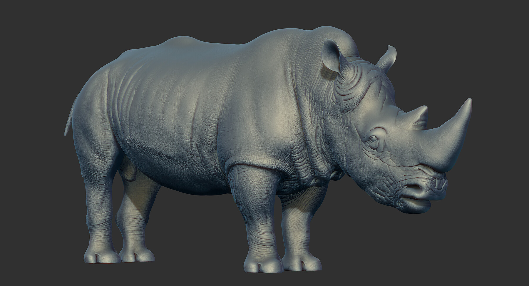 ArtStation Rhino Sculpt Resources   File 