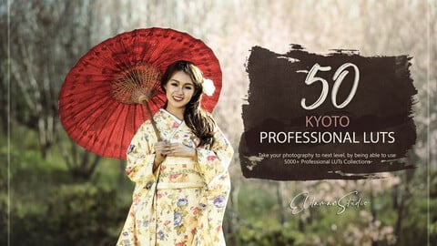 50 Kyoto LUTs and Presets Pack