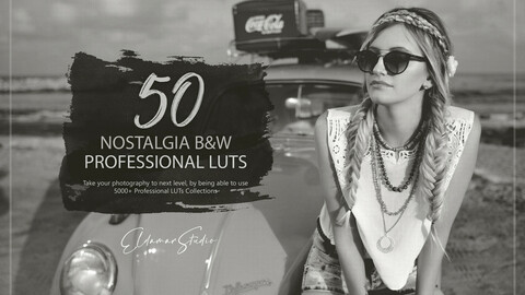 50 Nostalgia Black and White LUTs and Presets Pack