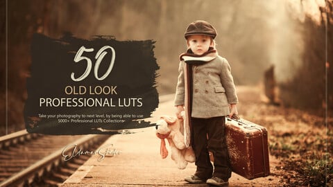 50 Old Look LUTs and Presets Pack