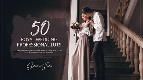 50 Royal Wedding LUTs and Presets Pack