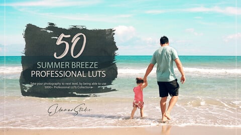 50 Summer Breeze LUTs and Presets Pack