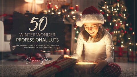 50 Winter Wonder LUTs and Presets Pack