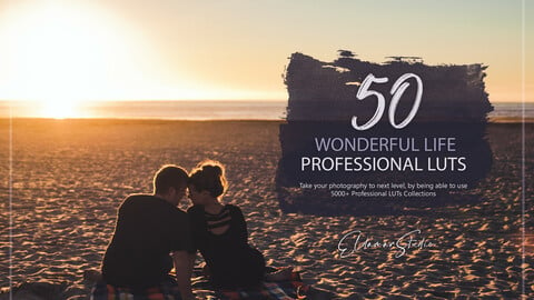 50 Wonderful Life LUTs and Presets Pack