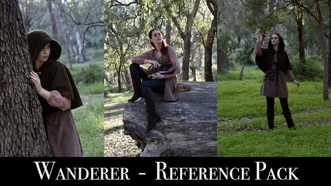 x113 Wandering Bard - Pose Reference Pack