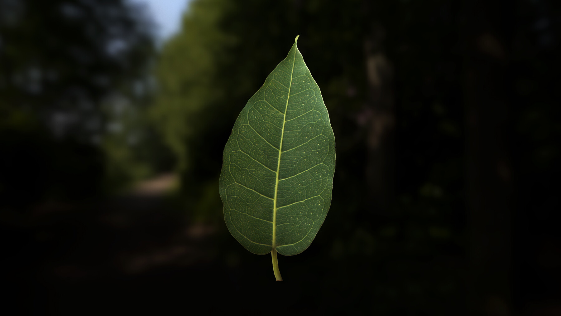 Leaf alpha outlet