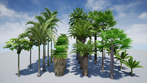 HQ Plants Volume 5 Palms for unreal engine 4 3D model set of 24